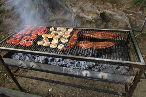IMG_0541-480x320